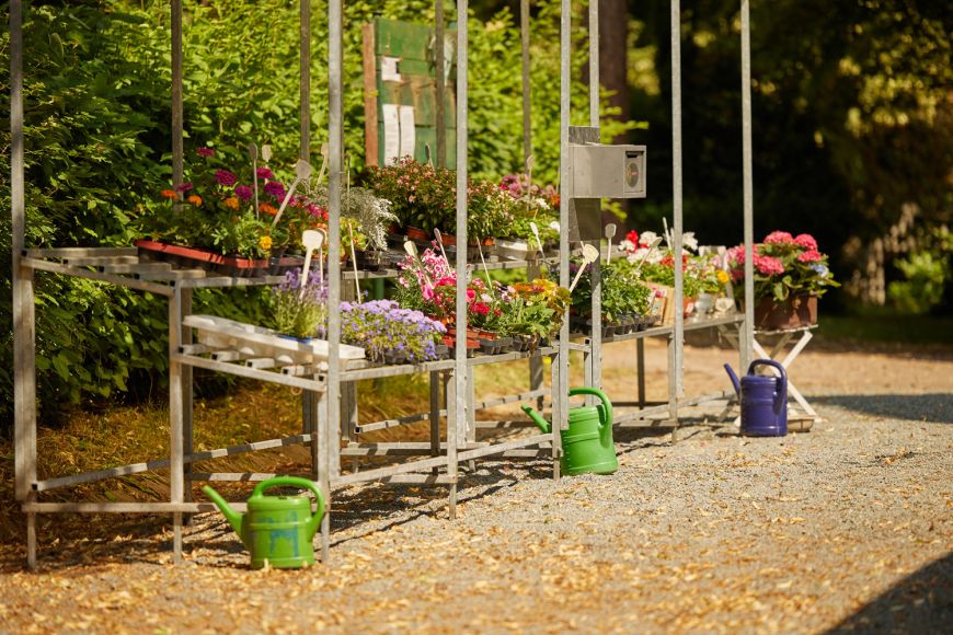 Stand mit verschiedenen Blumen und Kasse des Vertrauens auf dem Friedhof