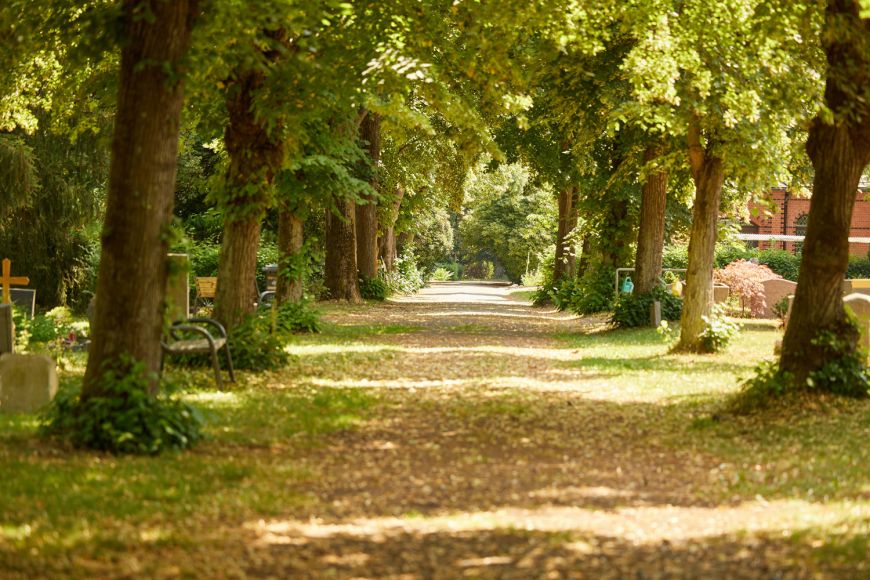 Allee auf dem Friedhof, rechts im Hintergrund Kirche